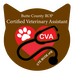 Icon for our CVA Program (cat outline with text inside)